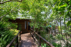 Гостиница Big Tree House Lodge  Найзна